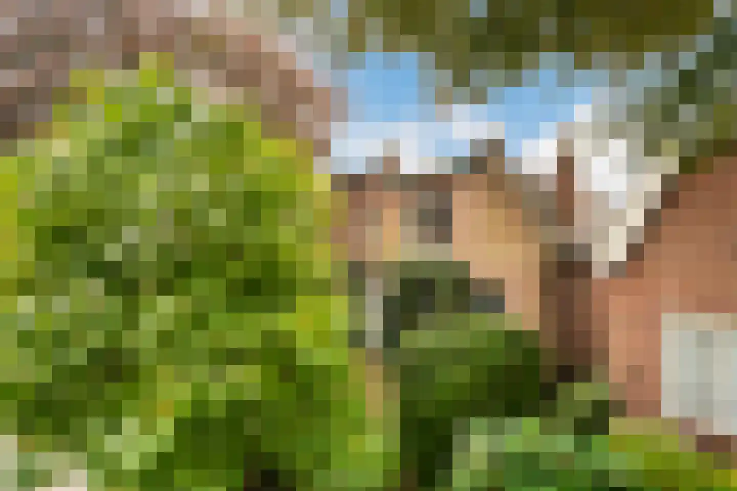Eerste Stationsstraat 114 Zoetermeer thumbnail 7