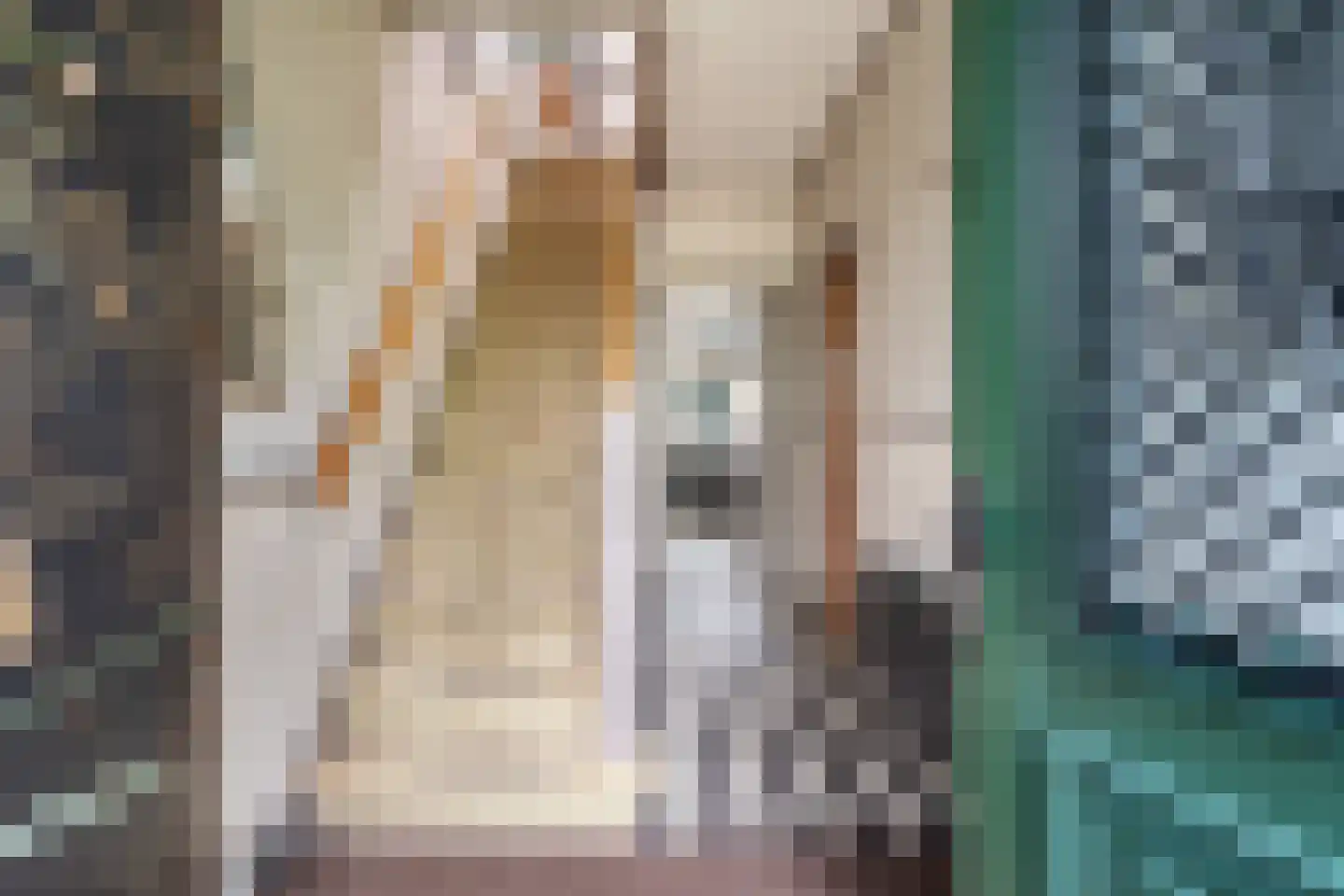 Eerste Stationsstraat 114 Zoetermeer thumbnail 9