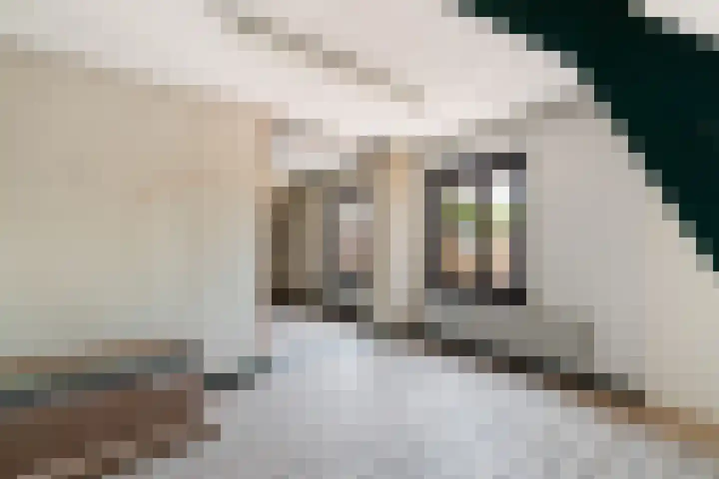 Eerste Stationsstraat 152 Zoetermeer thumbnail 32
