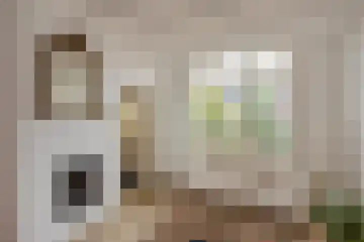 Eerste Stationsstraat 170 Zoetermeer thumbnail 22