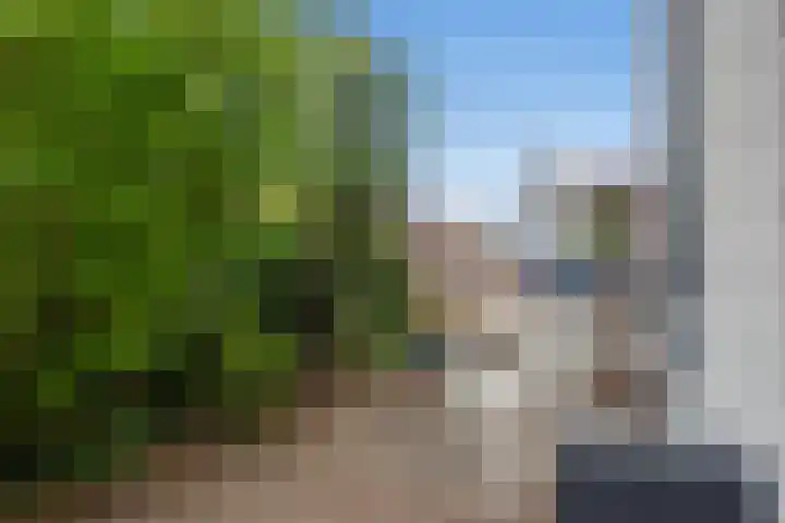 Eerste Stationsstraat 170 Zoetermeer thumbnail 37