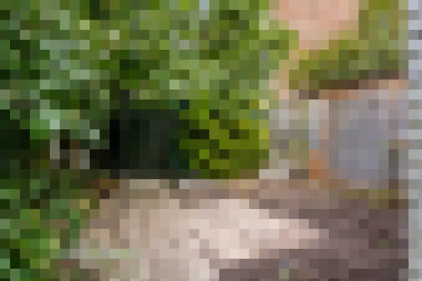 Eerste Stationsstraat 177 Zoetermeer thumbnail 32