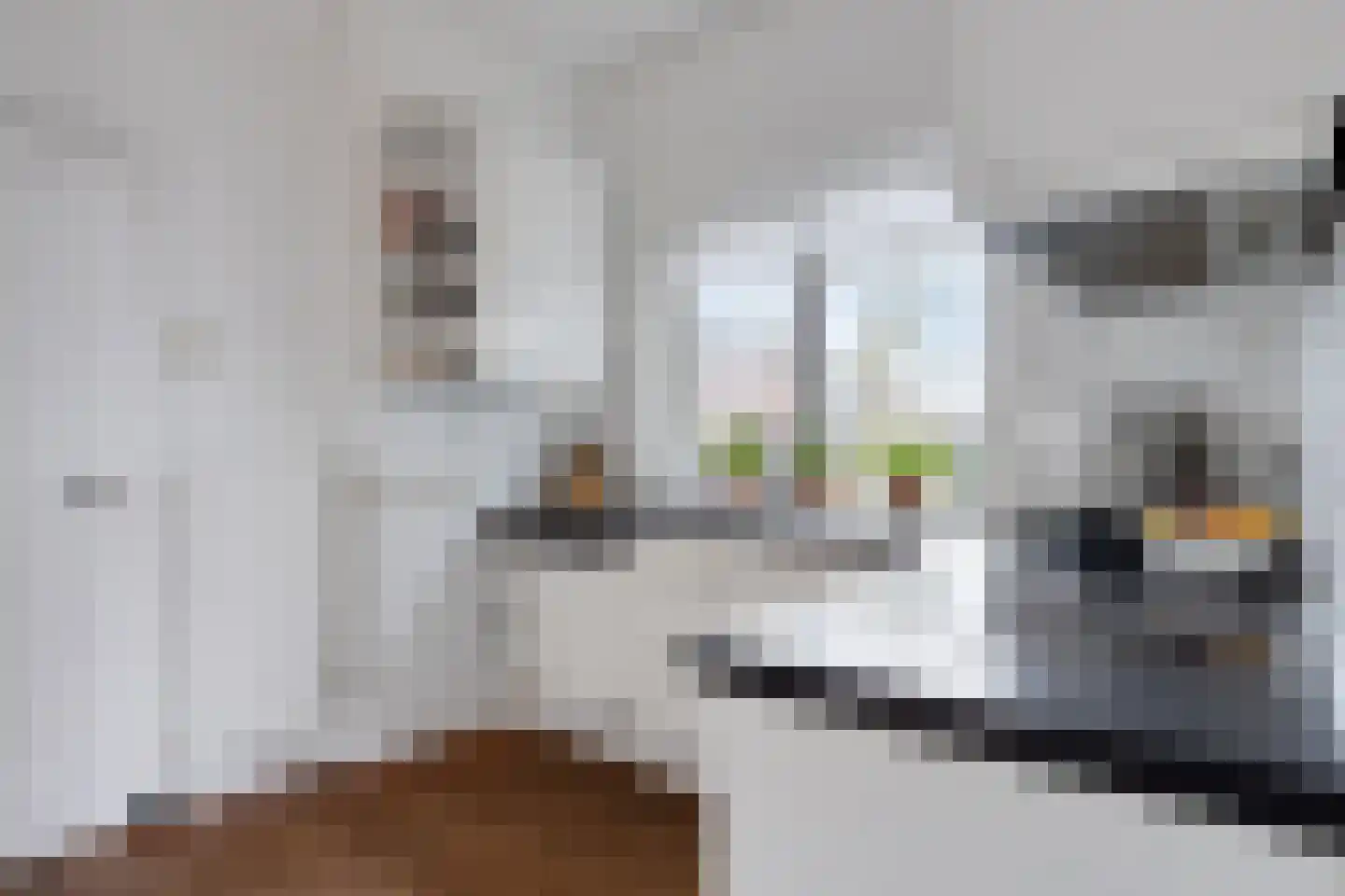 Eerste Stationsstraat 88 Zoetermeer thumbnail 22