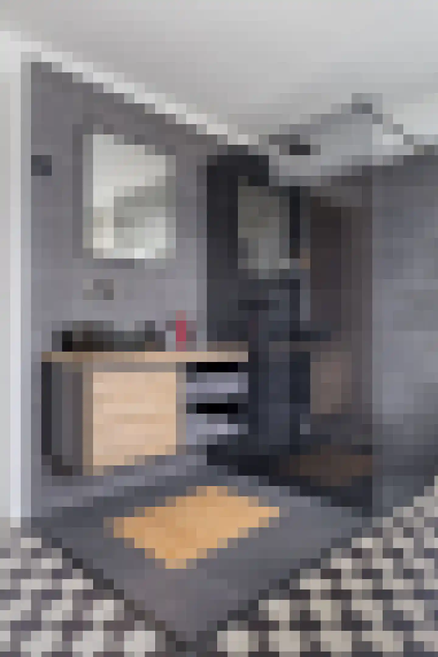 Eerste Stationsstraat 88 Zoetermeer thumbnail 36