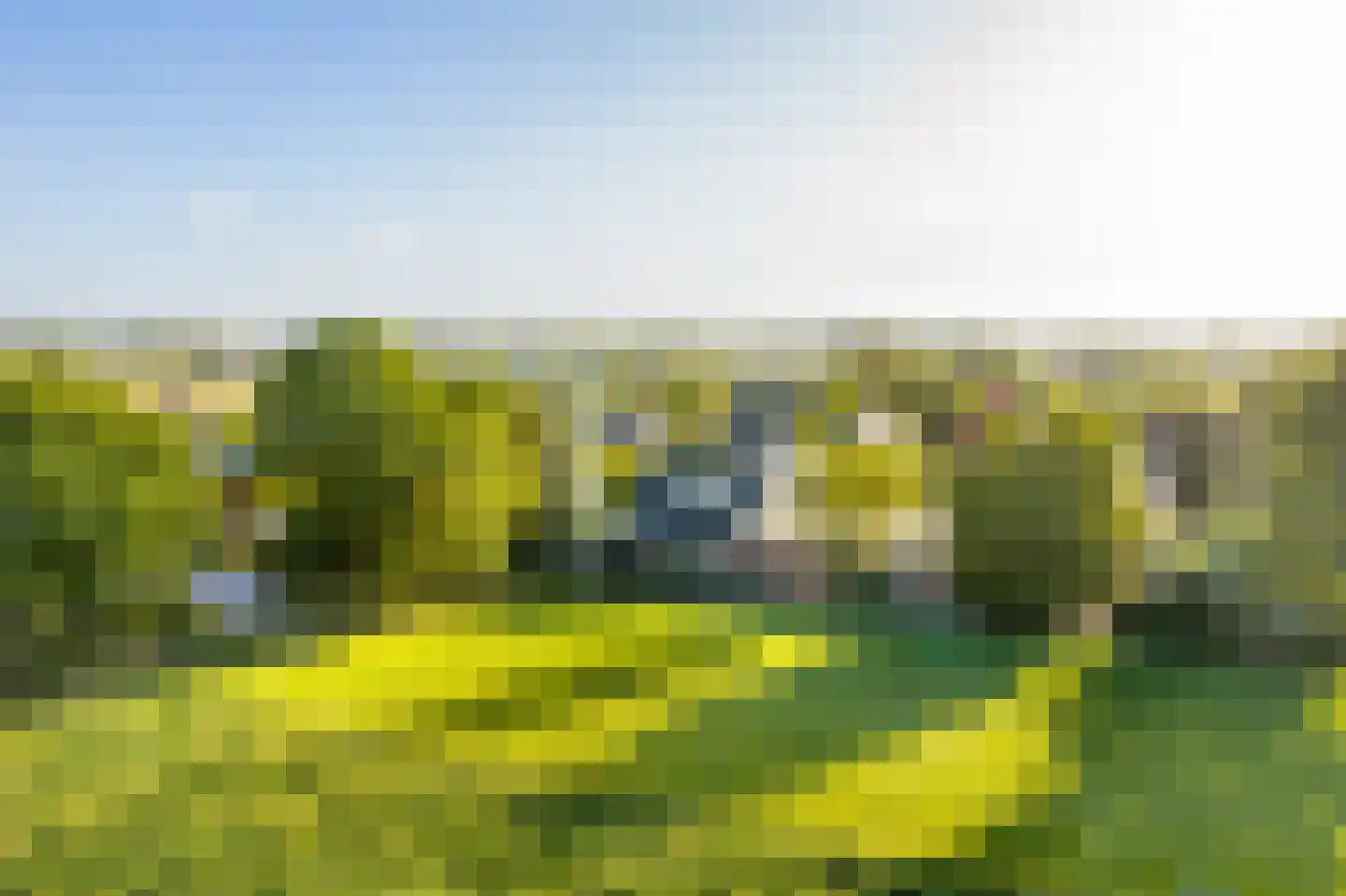 Eerste Steegje 1 Woudrichem