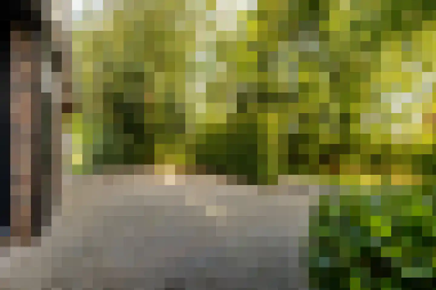 Eerste Steegje 1 Woudrichem thumbnail 15