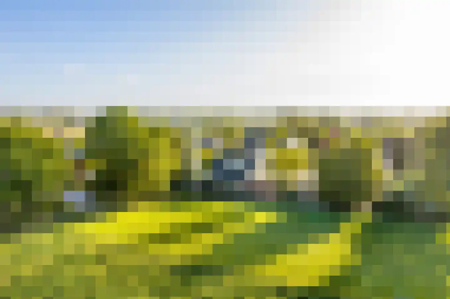 Eerste Steegje 1 Woudrichem foto 2