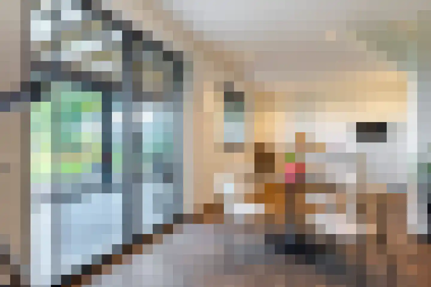 Eerste Steegje 1 Woudrichem thumbnail 31