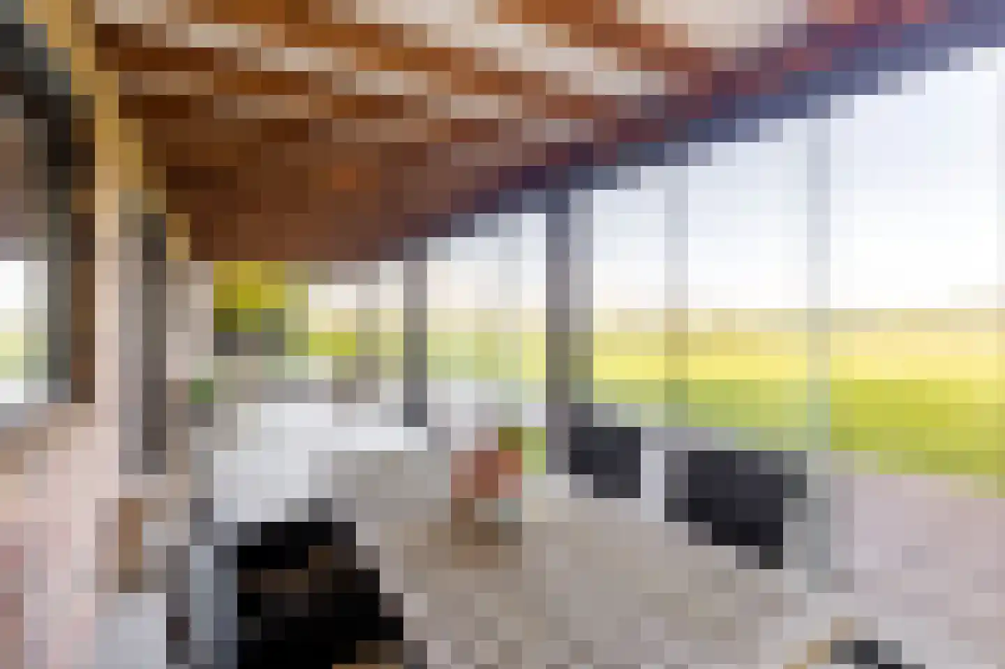 Eerste Steegje 1 Woudrichem thumbnail 33