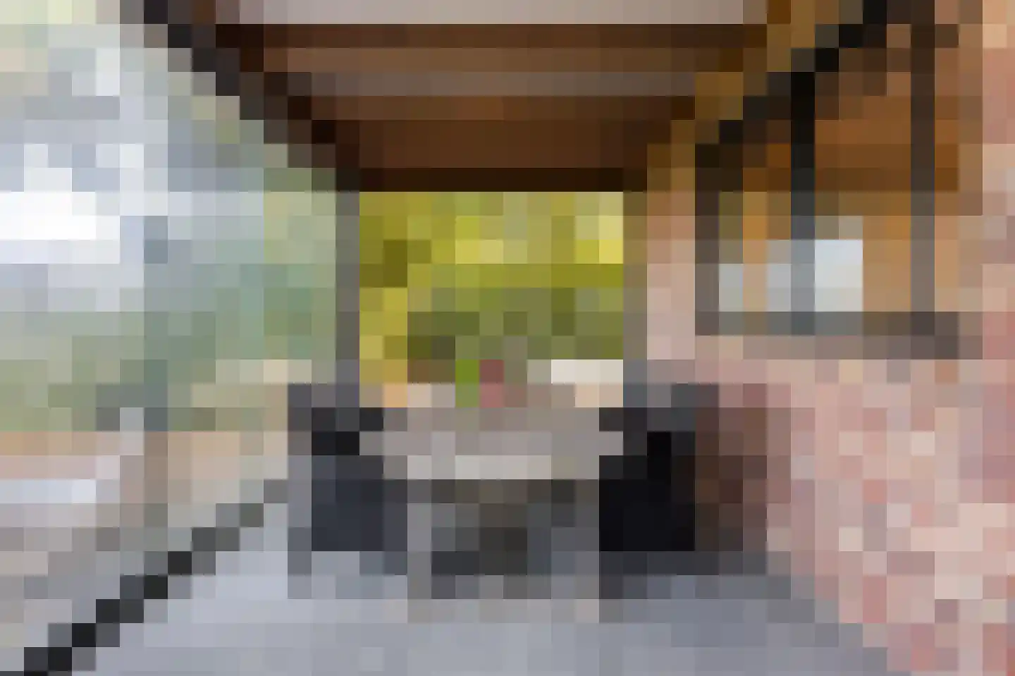 Eerste Steegje 1 Woudrichem thumbnail 34