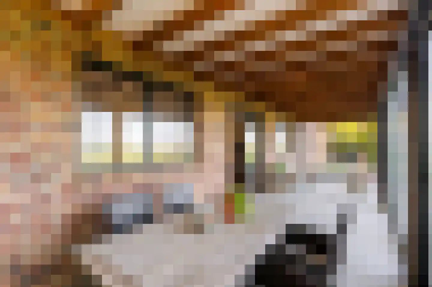 Eerste Steegje 1 Woudrichem thumbnail 35