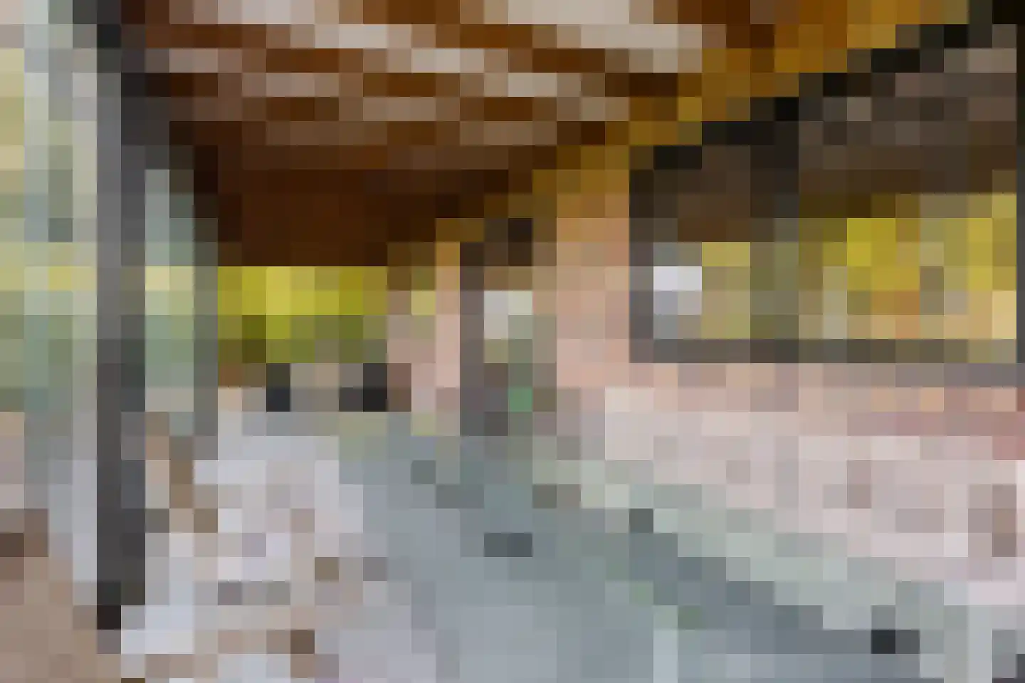 Eerste Steegje 1 Woudrichem thumbnail 37