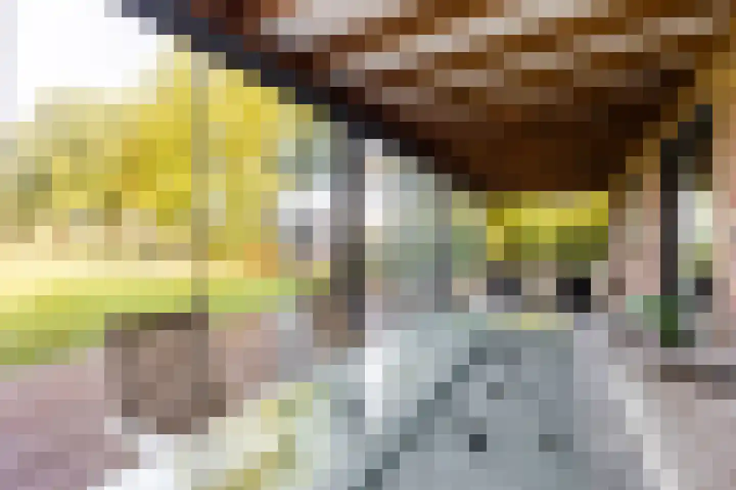 Eerste Steegje 1 Woudrichem thumbnail 38