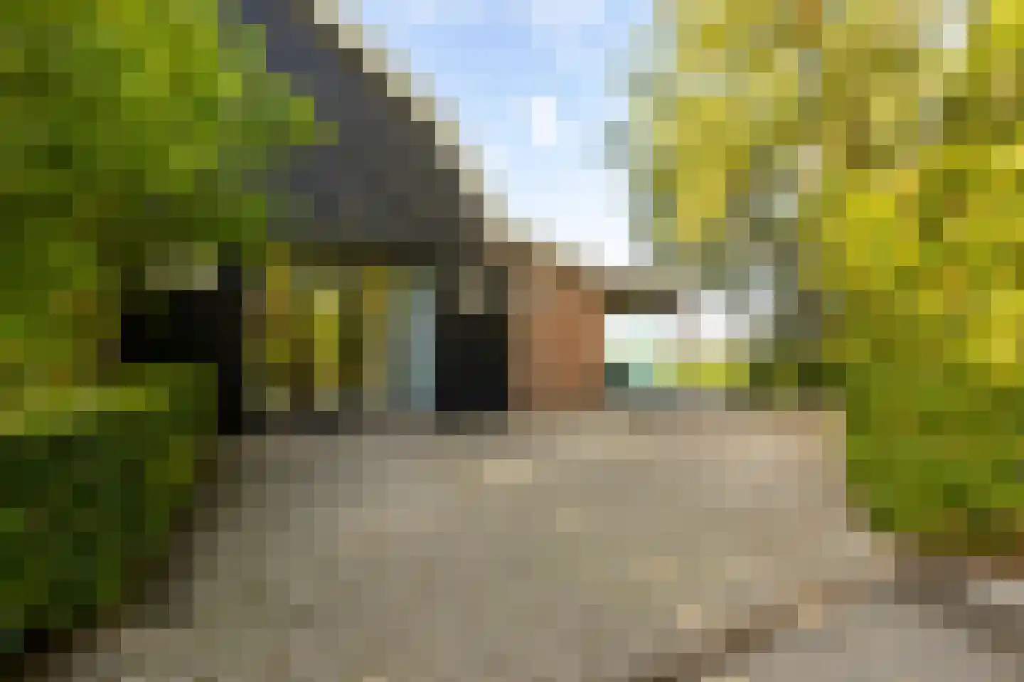 Eerste Steegje 1 Woudrichem thumbnail 4
