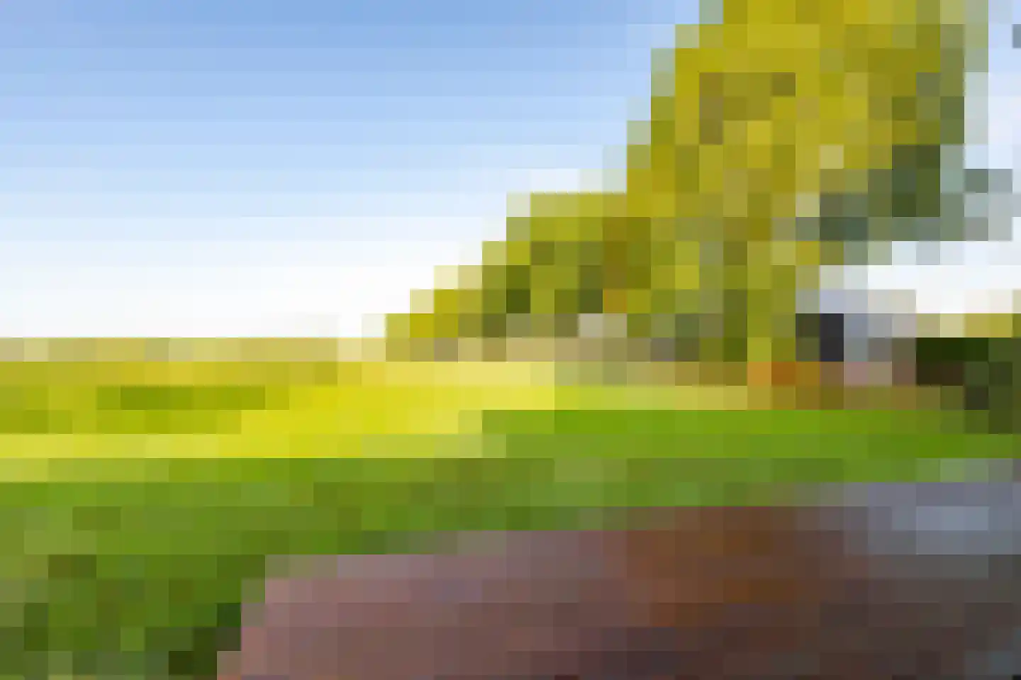Eerste Steegje 1 Woudrichem thumbnail 41