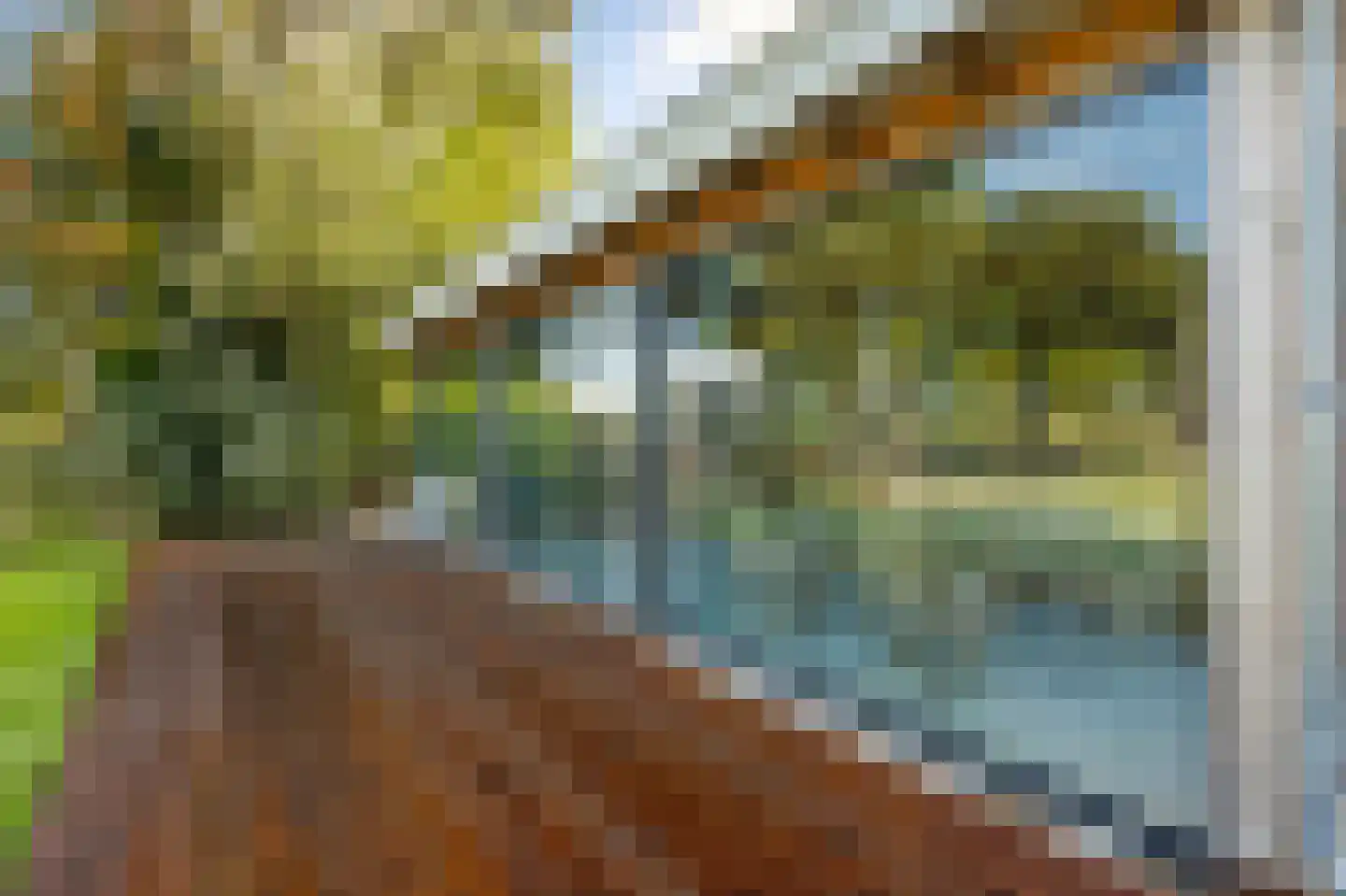 Eerste Steegje 1 Woudrichem thumbnail 42
