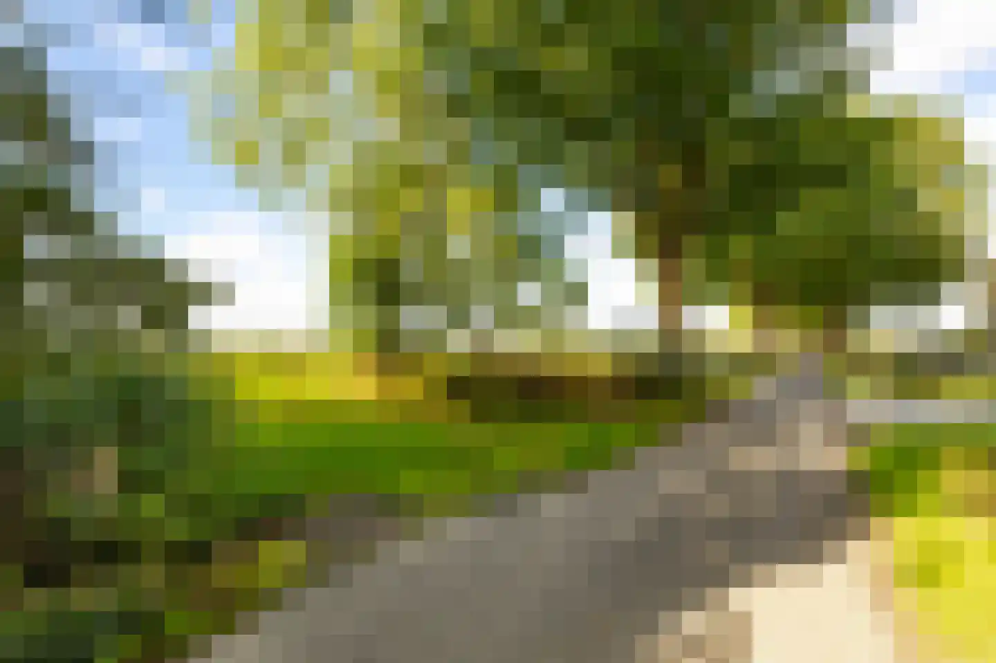 Eerste Steegje 1 Woudrichem thumbnail 44