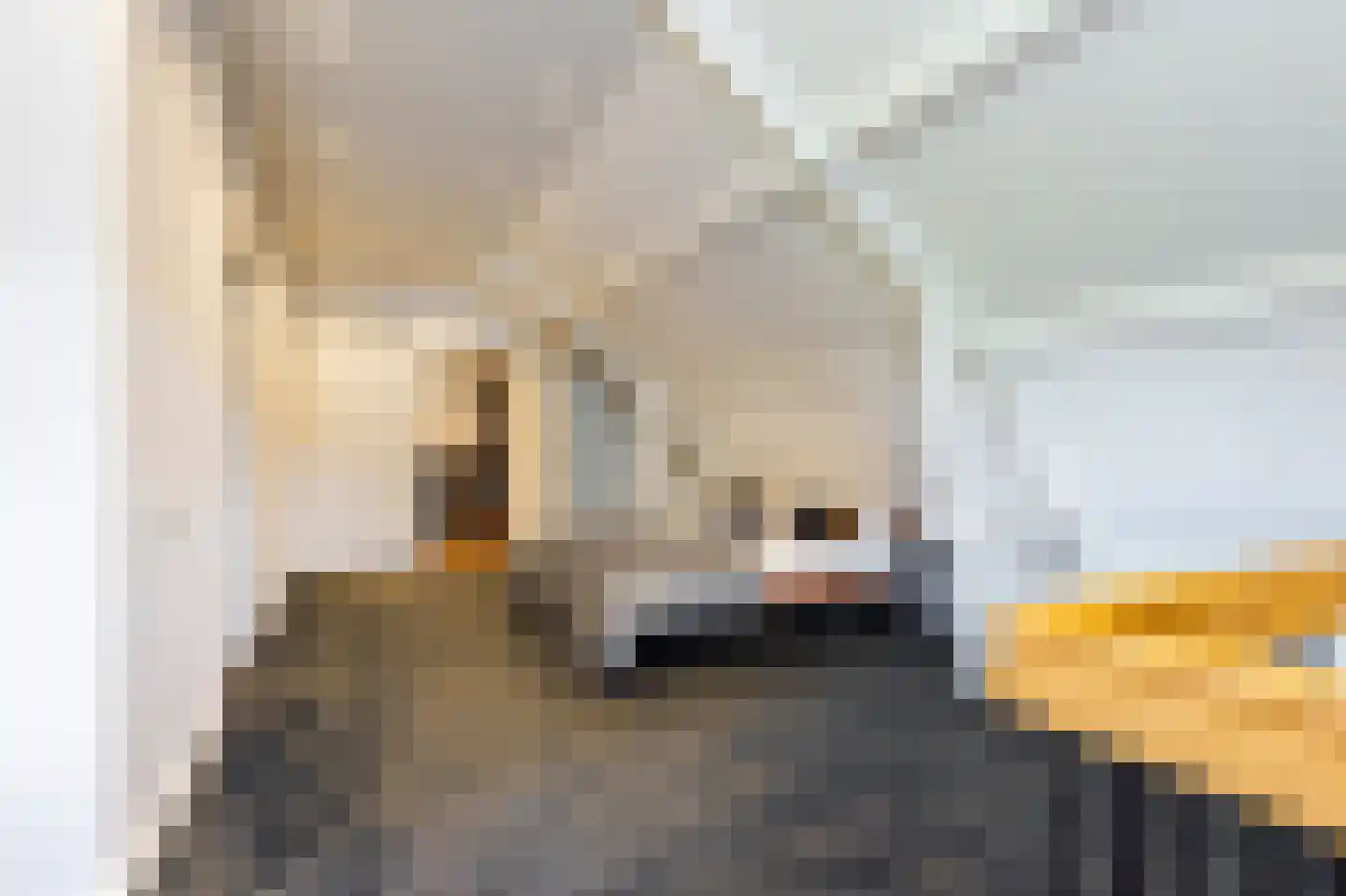 Eerste Steegje 1 Woudrichem thumbnail 50