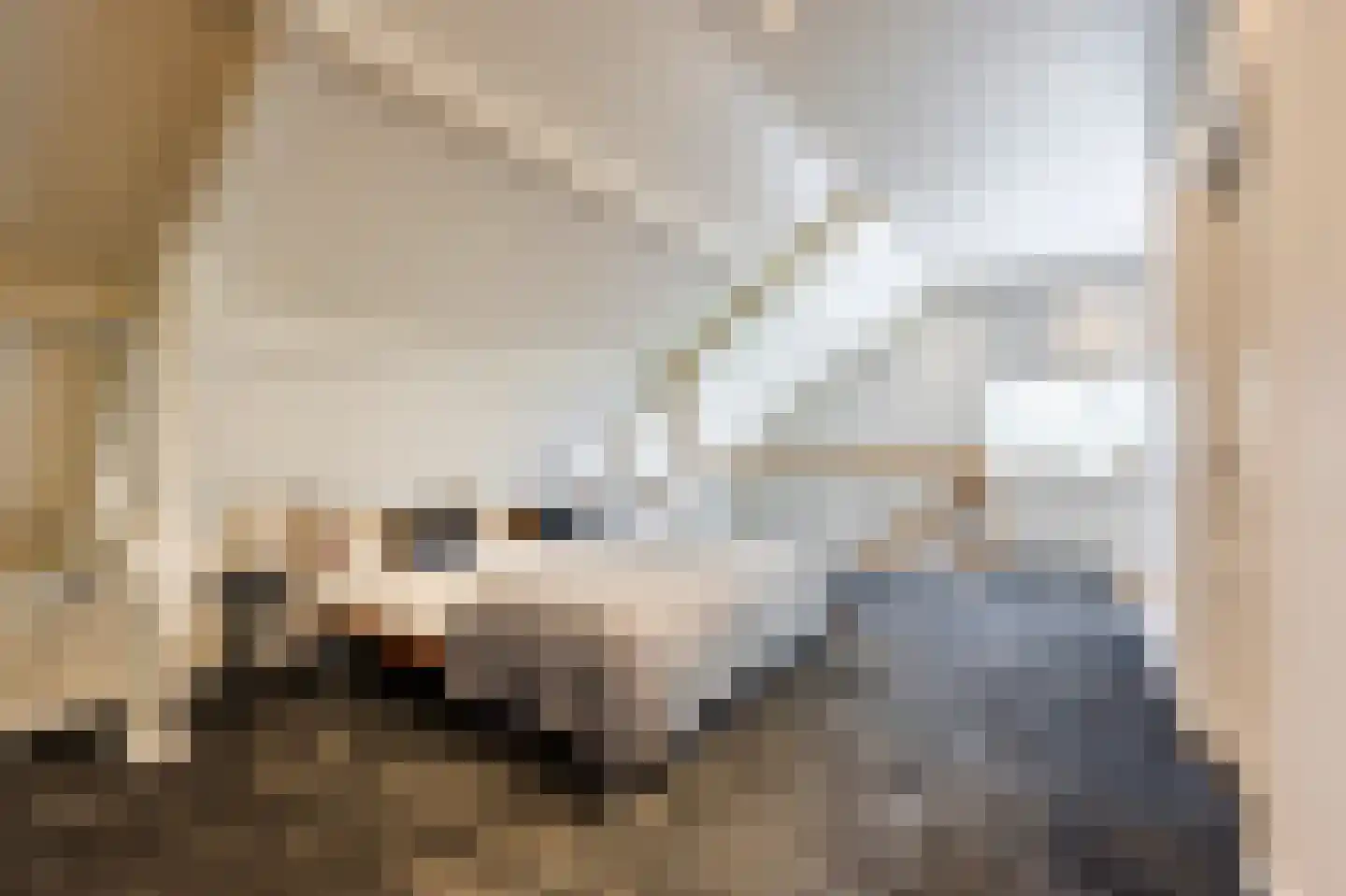 Eerste Steegje 1 Woudrichem thumbnail 51