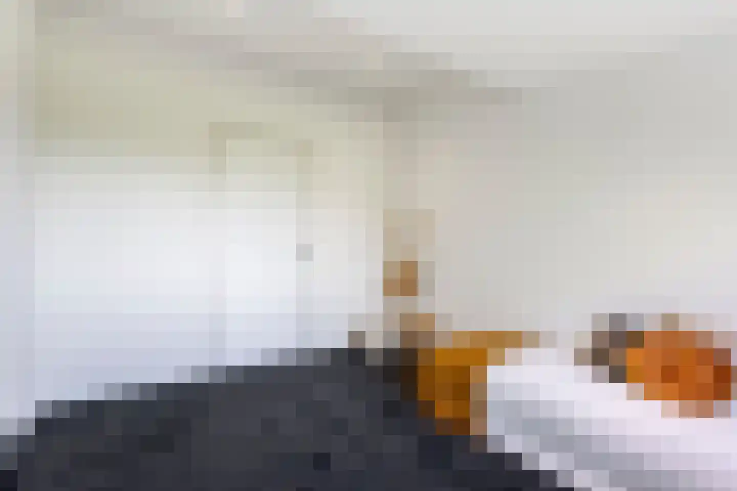 Eerste Steegje 1 Woudrichem thumbnail 55