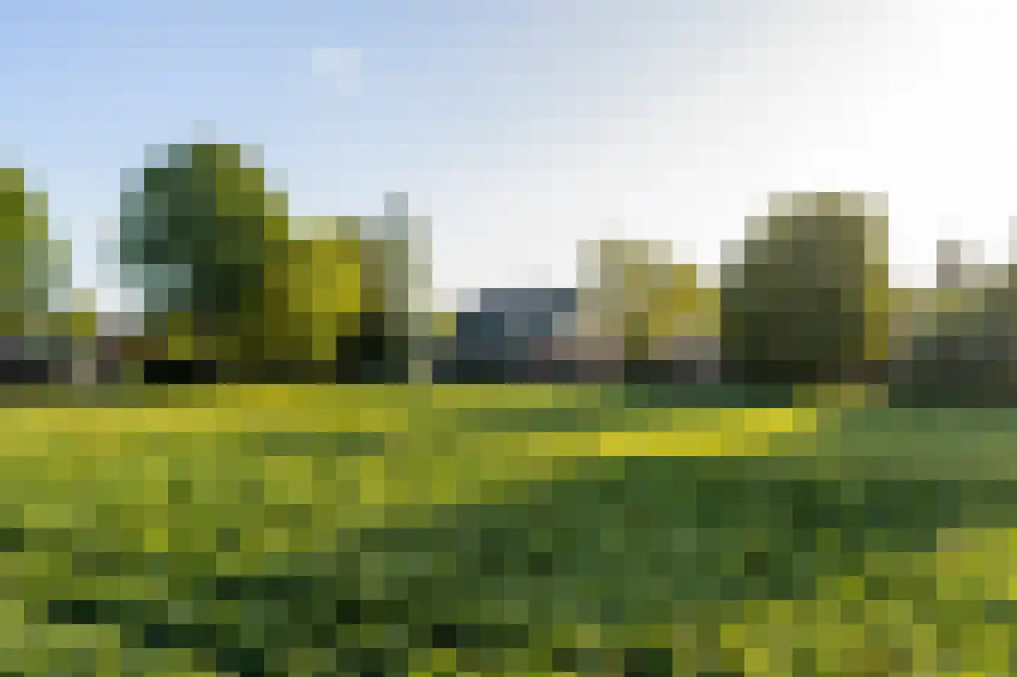 Eerste Steegje 1 Woudrichem thumbnail 60