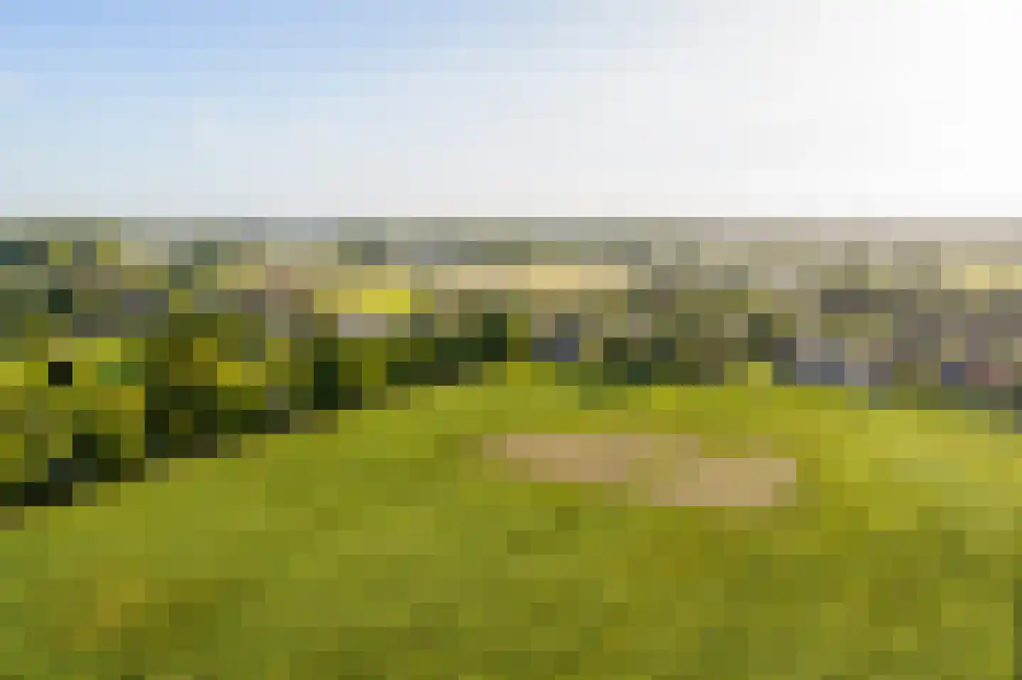 Eerste Steegje 1 Woudrichem thumbnail 66