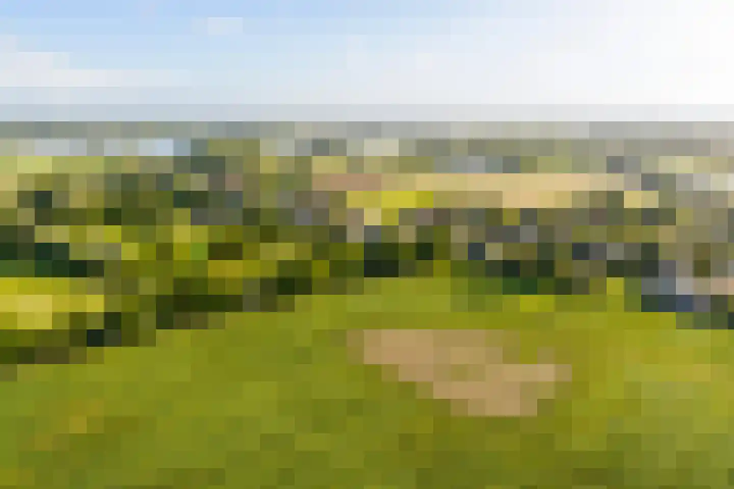 Eerste Steegje 1 Woudrichem thumbnail 67