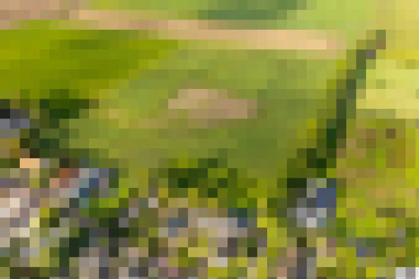 Eerste Steegje 1 Woudrichem thumbnail 68