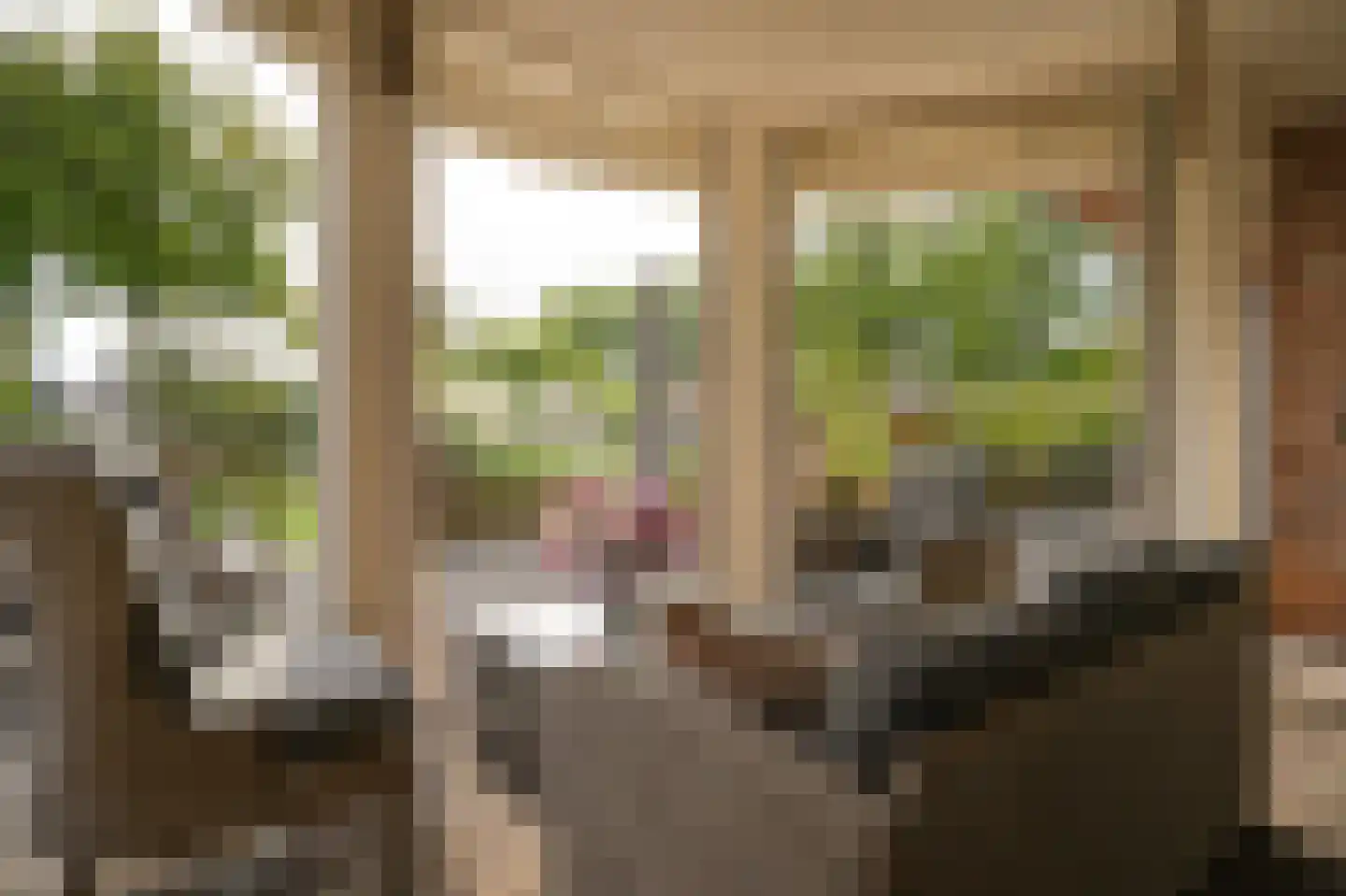 Eerste Stegge 1 Ootmarsum thumbnail 16