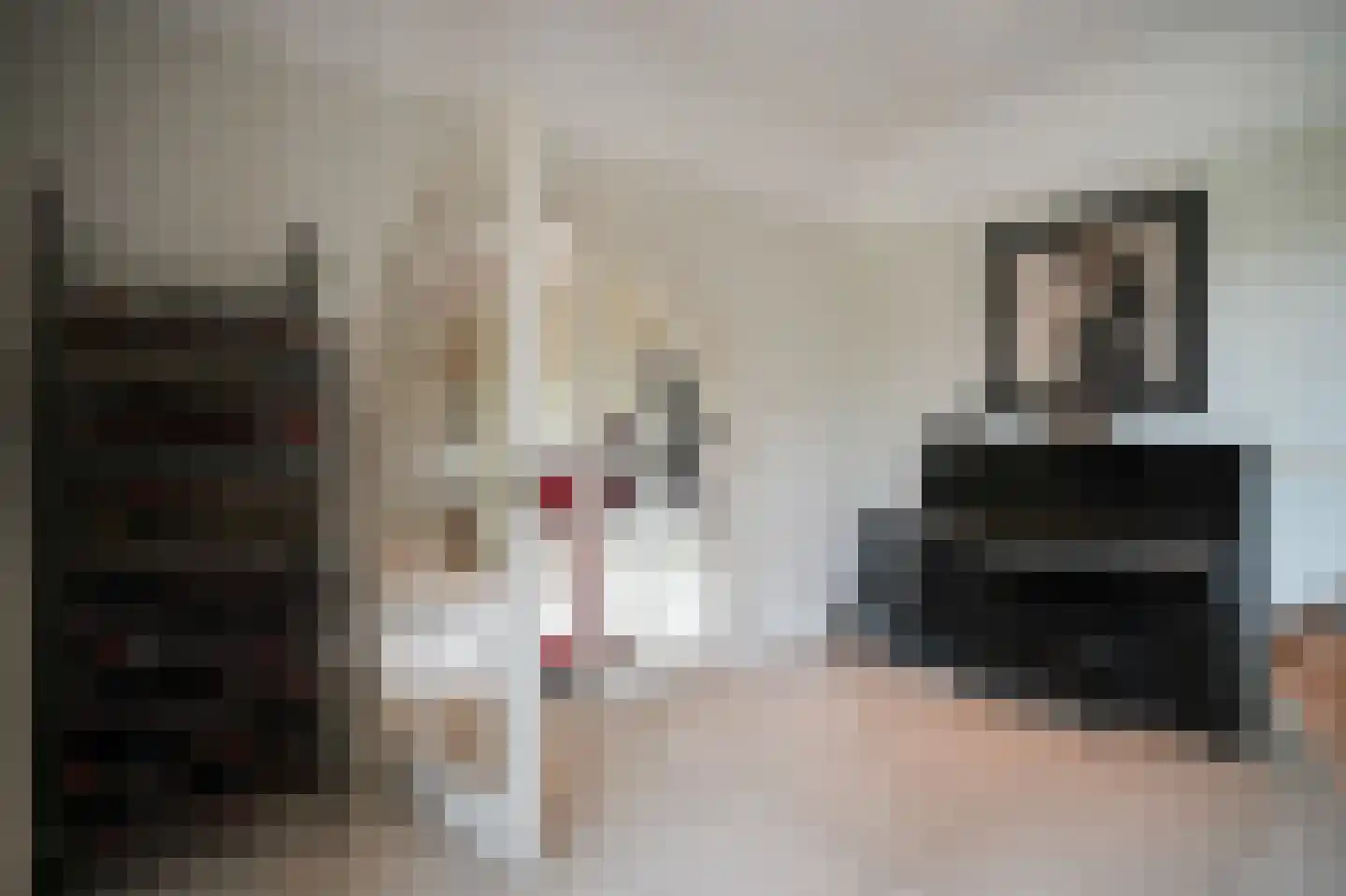 Eerste Stegge 1 Ootmarsum thumbnail 17