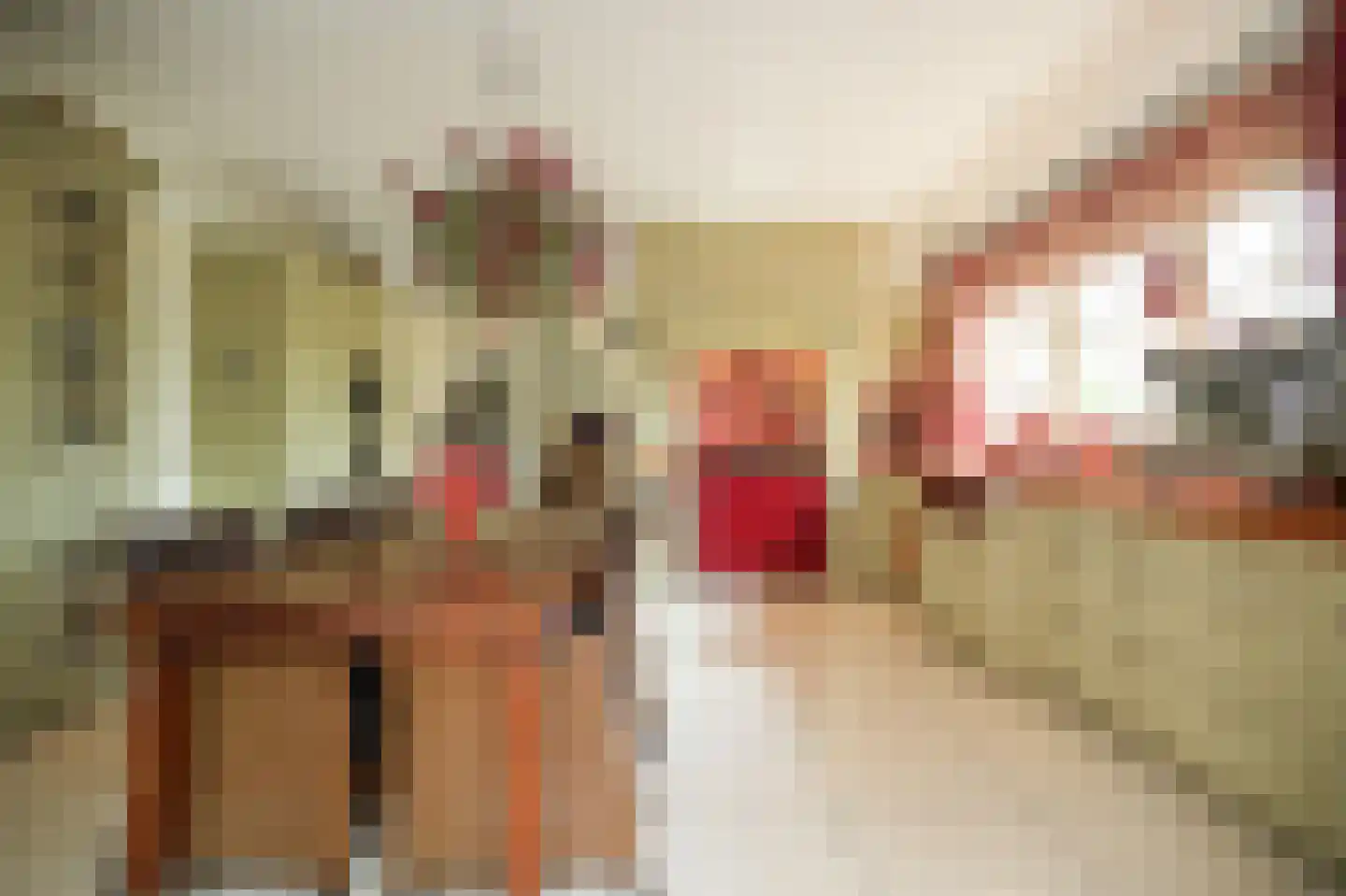 Eerste Stegge 1 Ootmarsum thumbnail 22