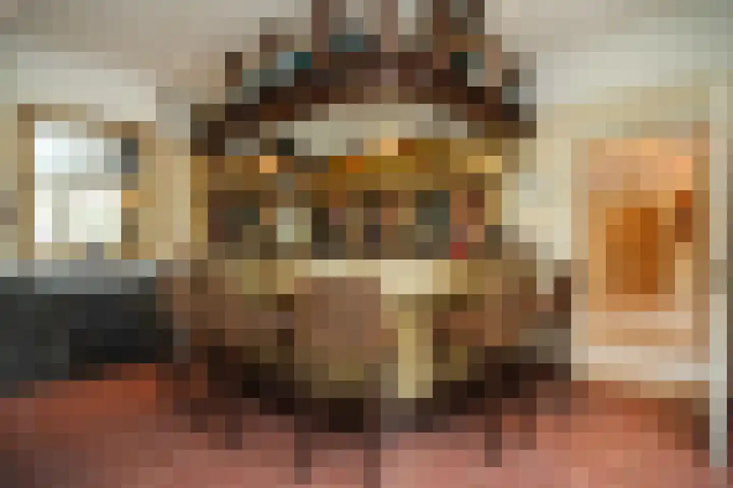Eerste Stegge 1 Ootmarsum thumbnail 25