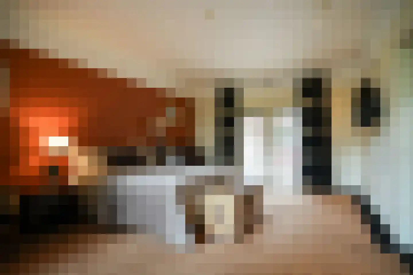 Eerste Stegge 1 Ootmarsum thumbnail 27