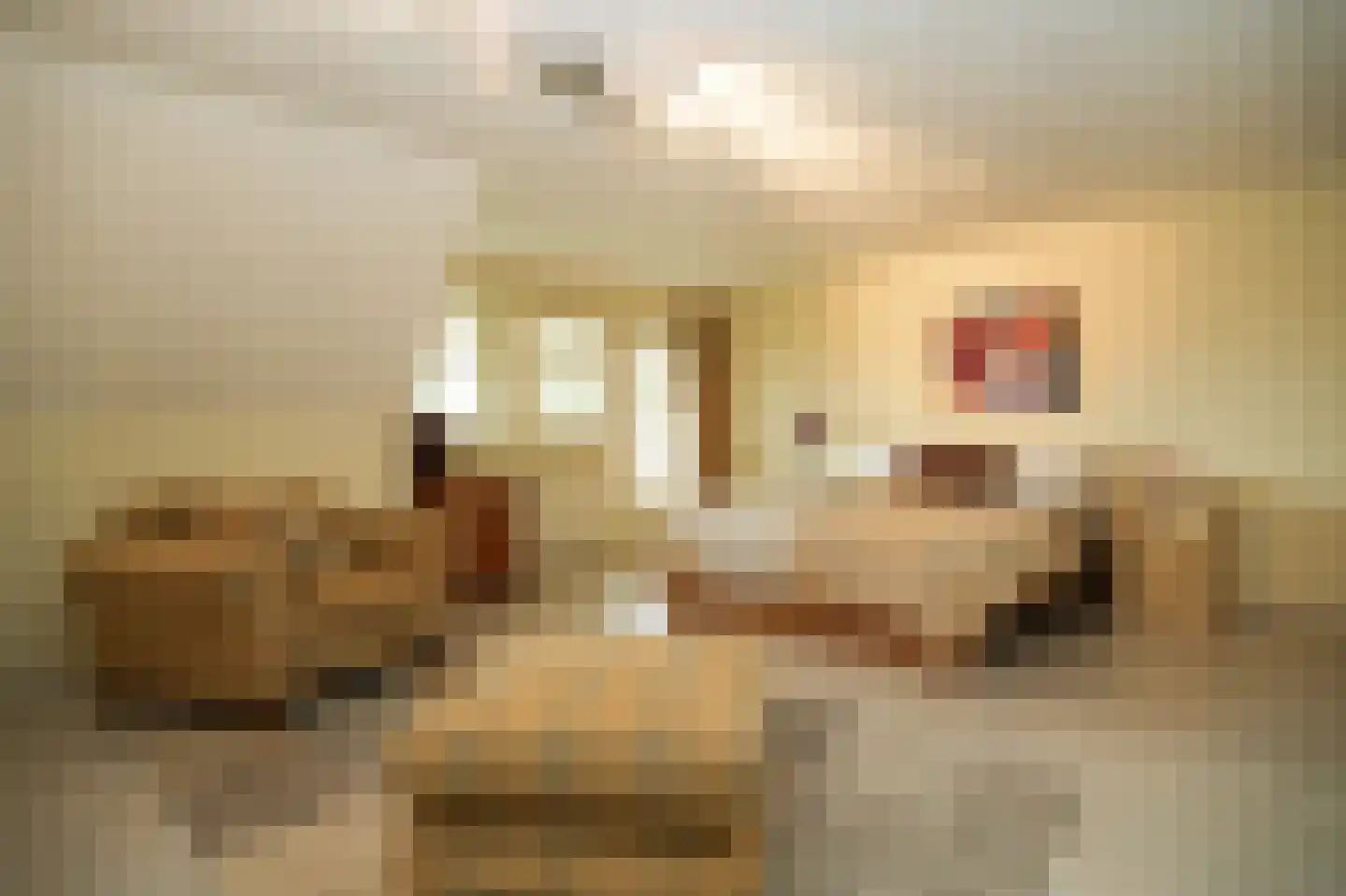 Eerste Stegge 1 Ootmarsum thumbnail 35