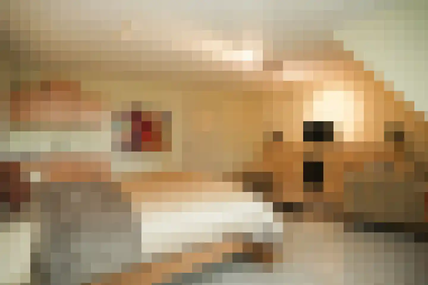 Eerste Stegge 1 Ootmarsum thumbnail 36