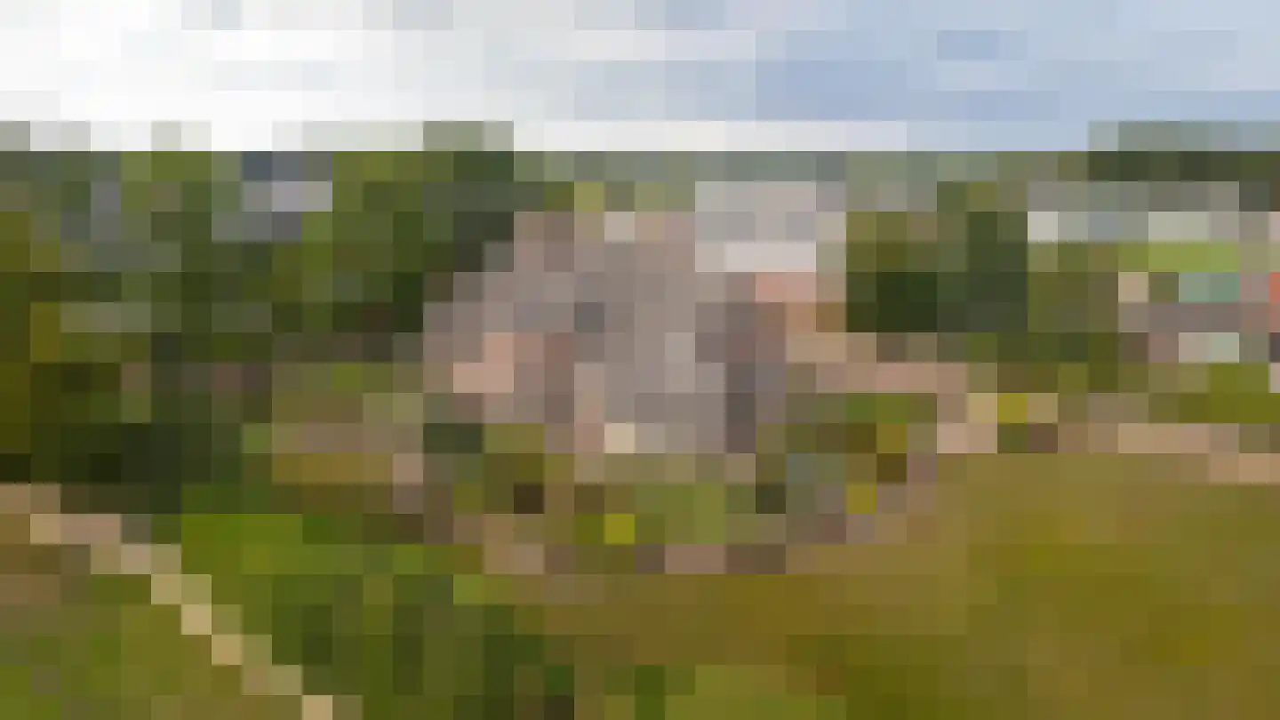 Eerste Stegge 1 Ootmarsum thumbnail 4