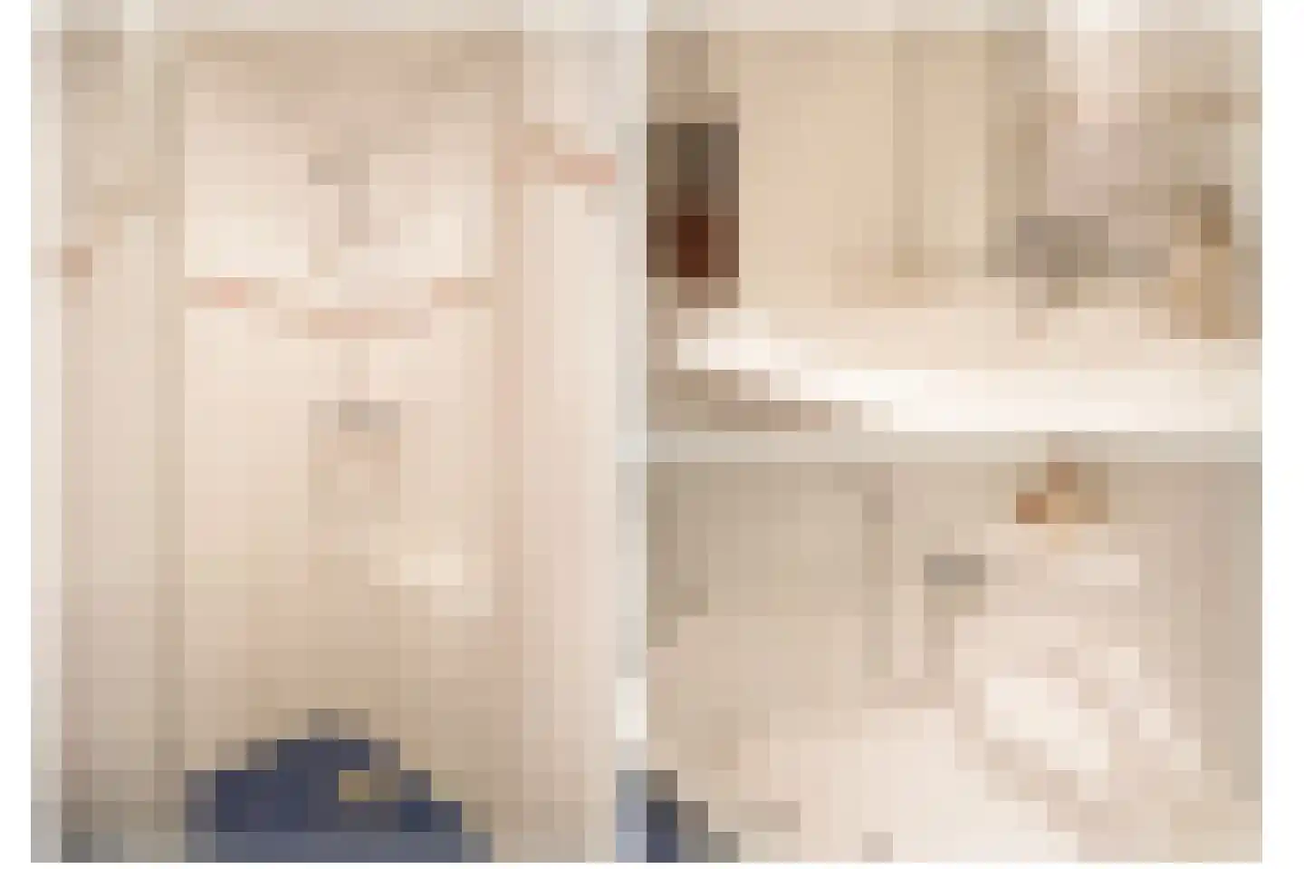 Eerste Stegge 1 Ootmarsum thumbnail 41