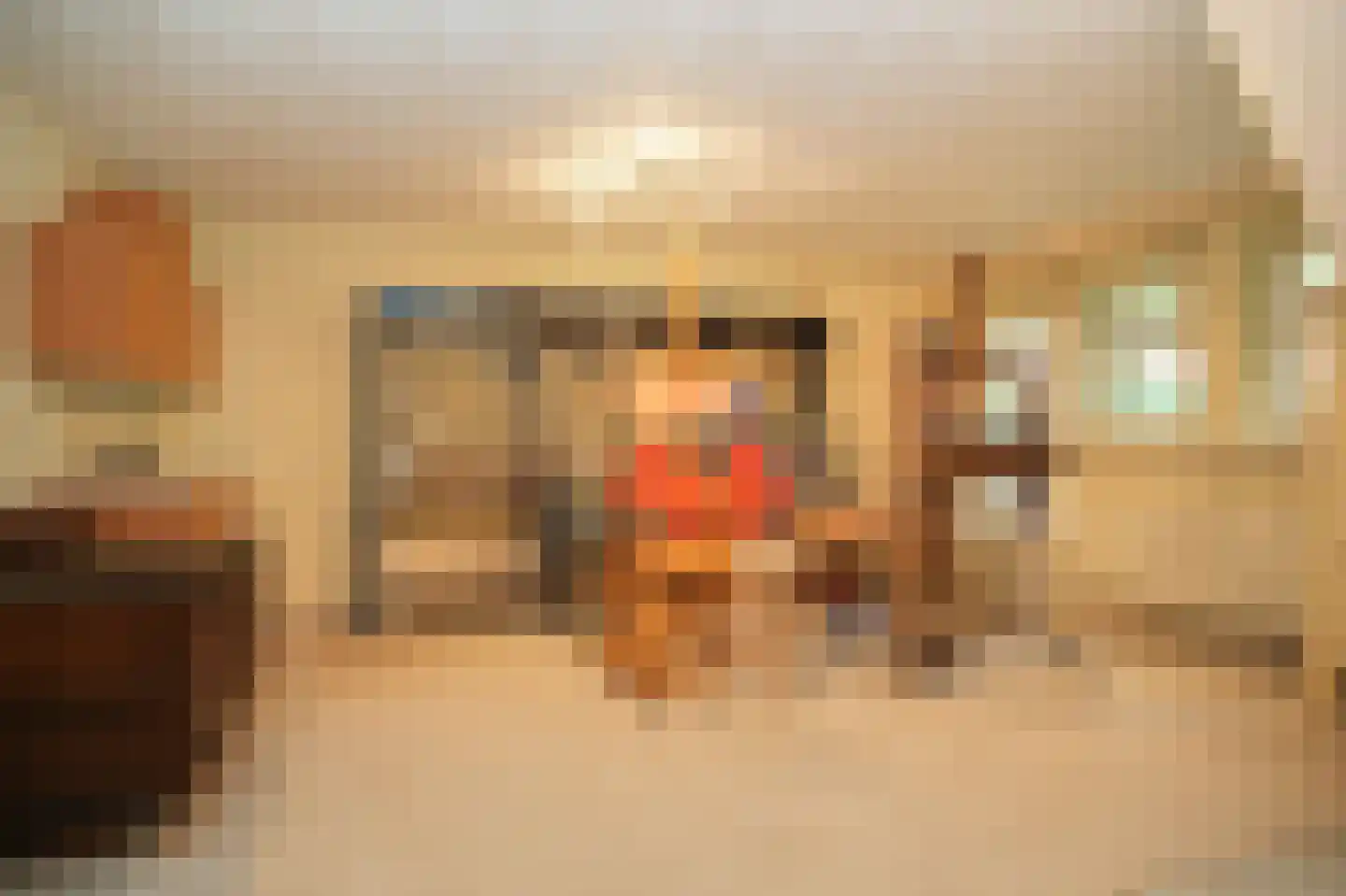 Eerste Stegge 1 Ootmarsum thumbnail 45
