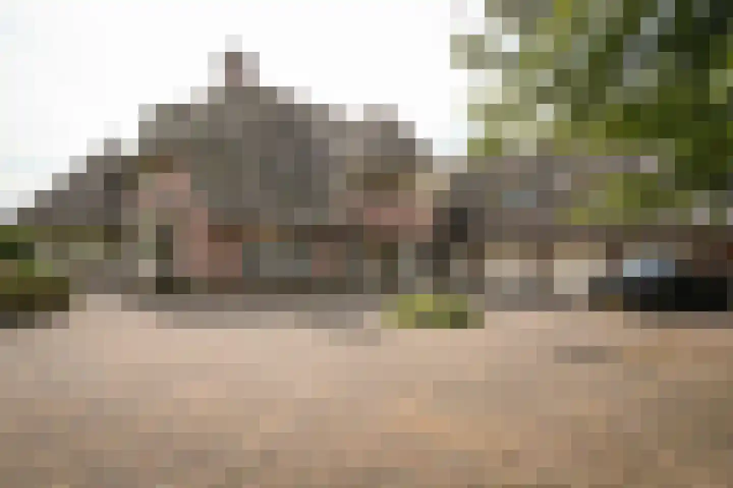 Eerste Stegge 1 Ootmarsum thumbnail 5