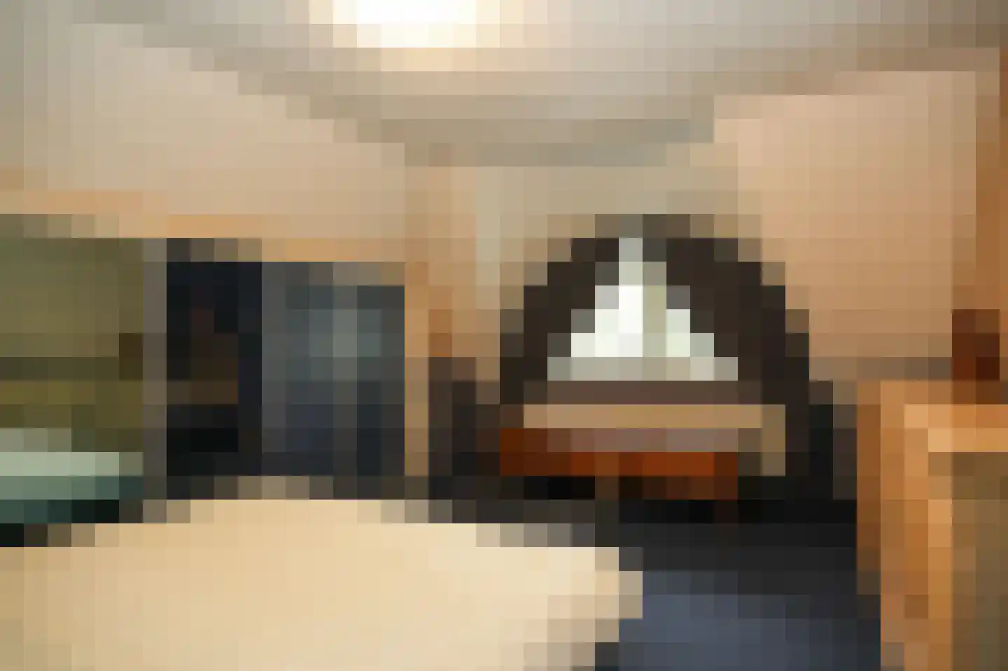 Eerste Stegge 1 Ootmarsum thumbnail 51