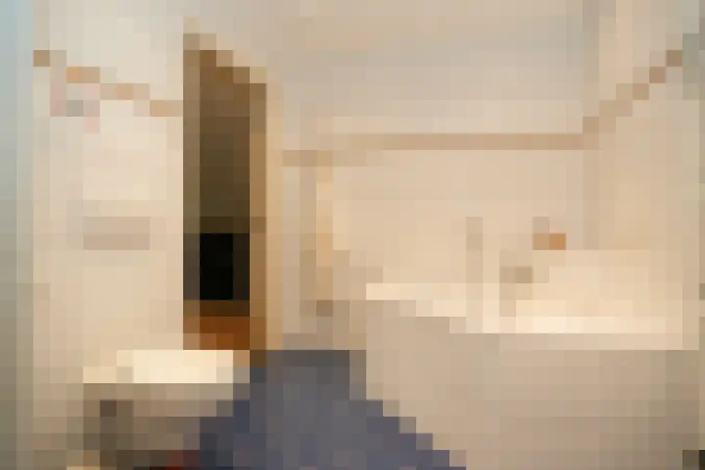 Eerste Stegge 1 Ootmarsum thumbnail 55