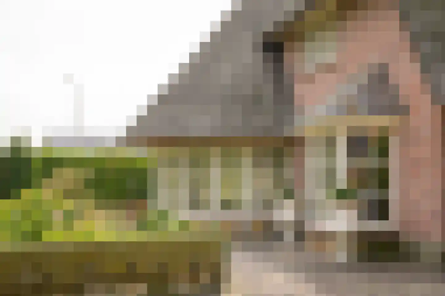 Eerste Stegge 1 Ootmarsum thumbnail 56
