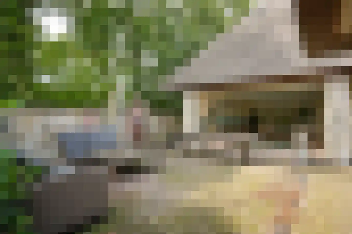 Eerste Stegge 1 Ootmarsum thumbnail 57