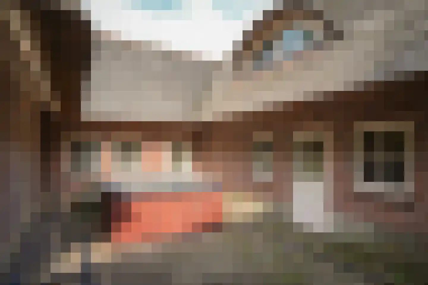 Eerste Stegge 1 Ootmarsum thumbnail 58