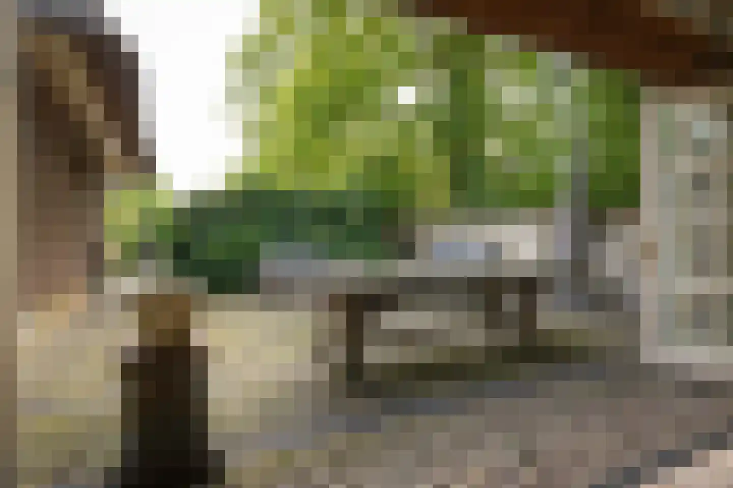 Eerste Stegge 1 Ootmarsum thumbnail 61