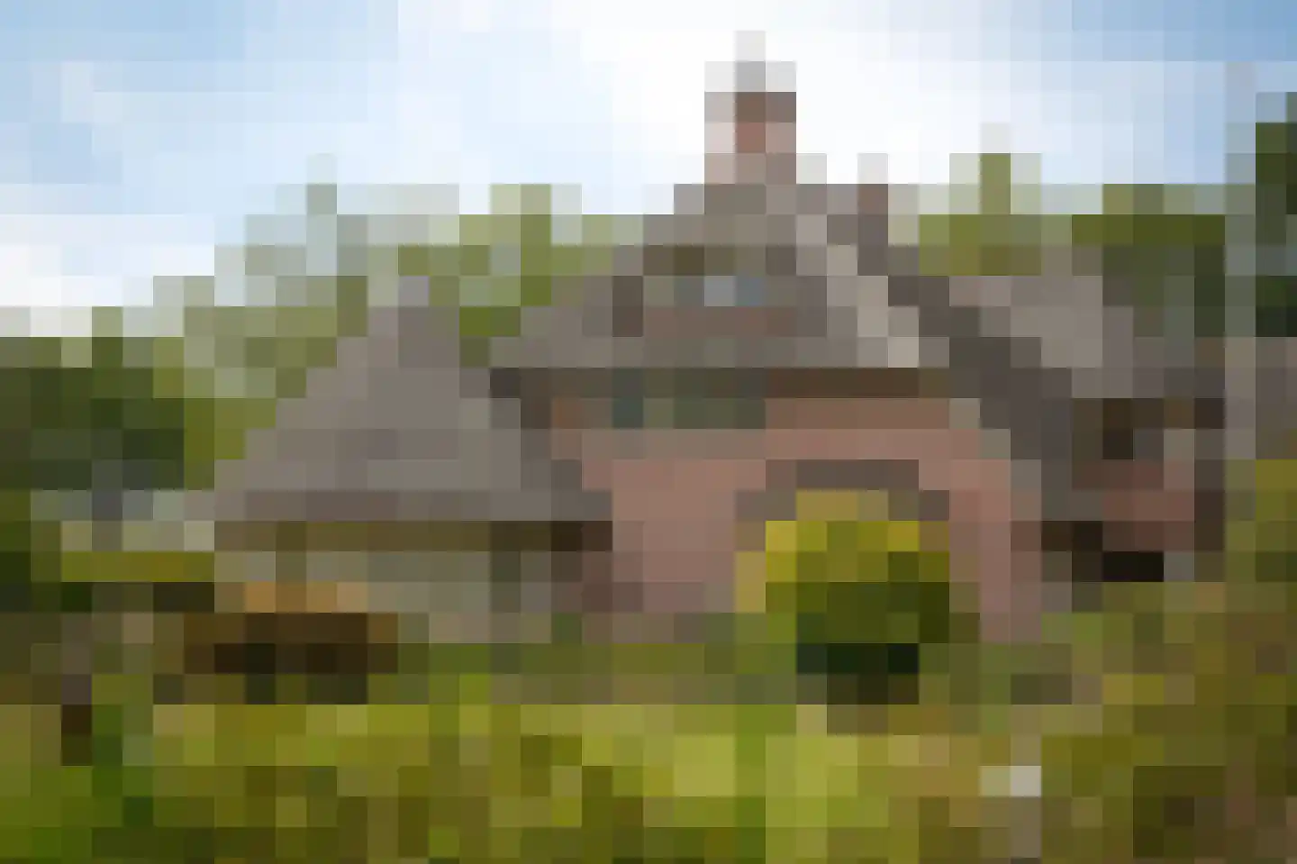Eerste Stegge 1 Ootmarsum thumbnail 64