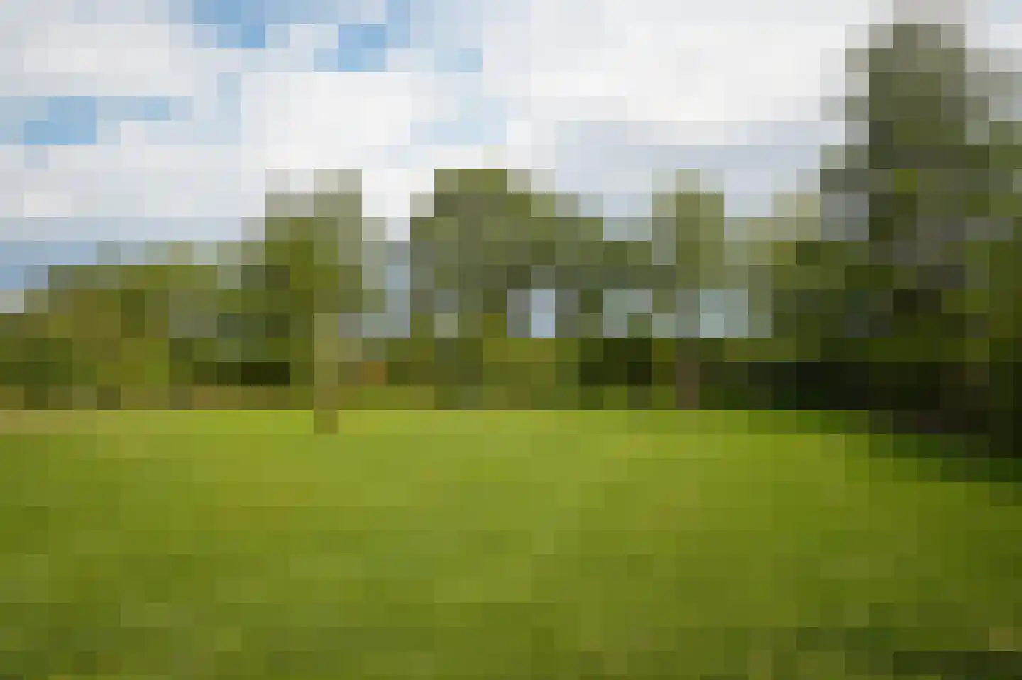 Eerste Stegge 1 Ootmarsum thumbnail 66