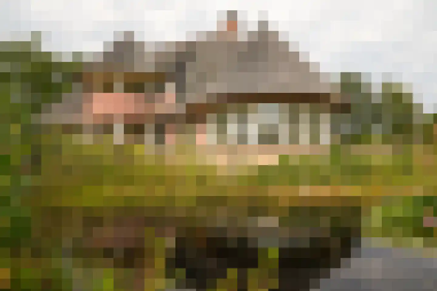 Eerste Stegge 1 Ootmarsum thumbnail 68