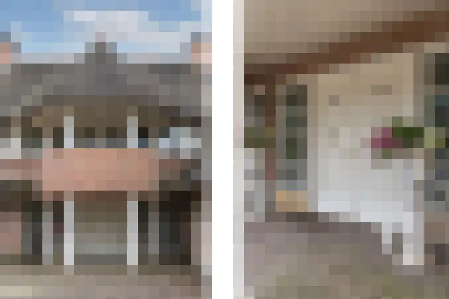Eerste Stegge 1 Ootmarsum thumbnail 7