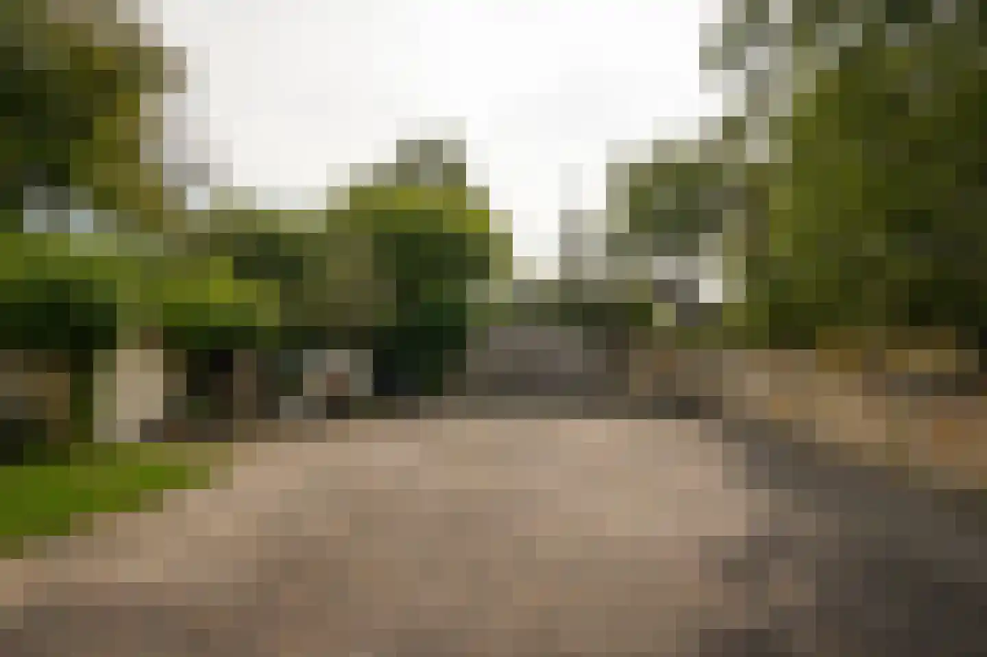 Eerste Stegge 1 Ootmarsum thumbnail 70